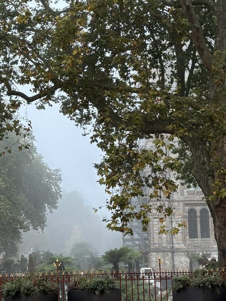 natural history museum in fog in london in october 2024