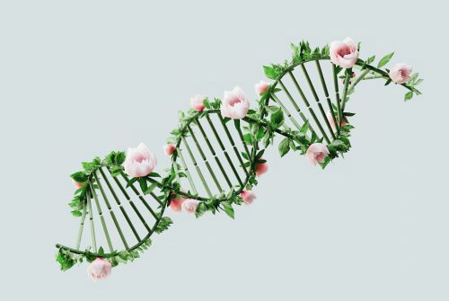 image of DNA used in polynucleotides